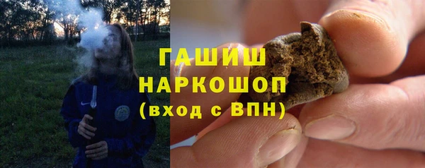 хмурый Магас