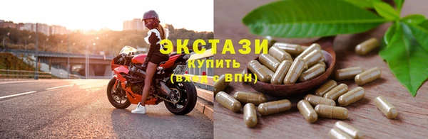 хмурый Магас