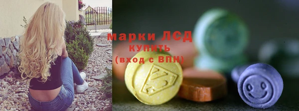 хмурый Магас