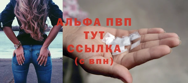 хмурый Магас
