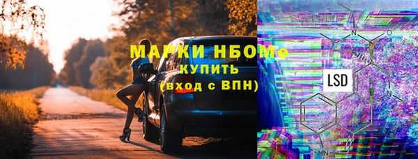 хмурый Магас