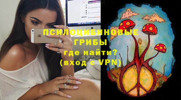 хмурый Магас