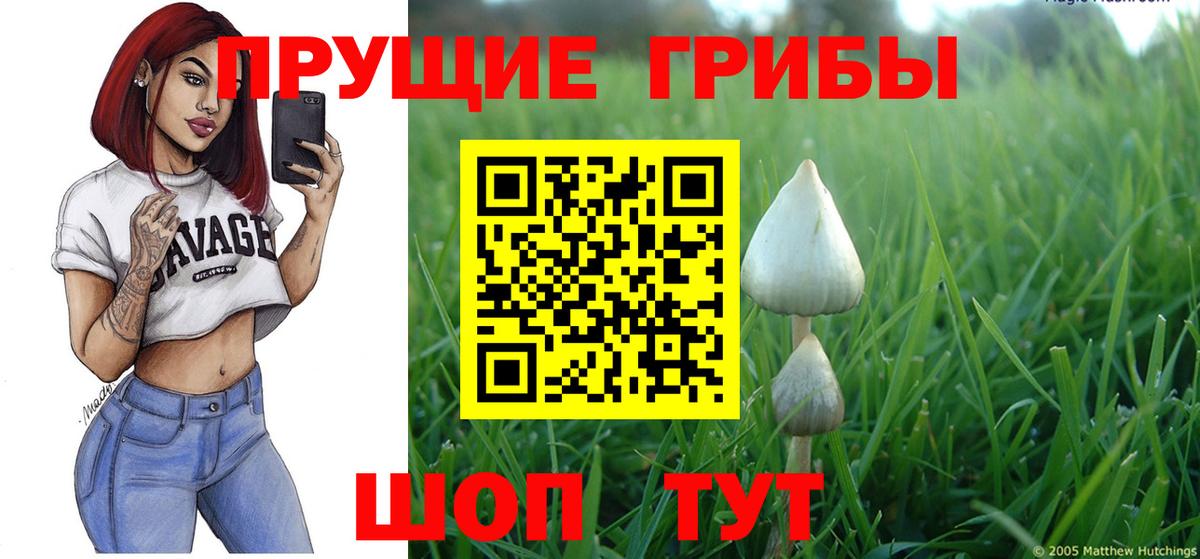 Галлюциногенные грибы Magic Shrooms  Вход с VPN  Раменское  Галлюциногенные грибы прущие грибы 